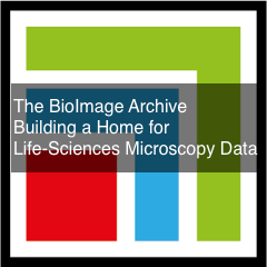The BioImage Archive paper